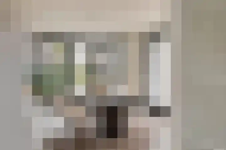 Van Bossepad 3 Amsterdam thumbnail 10