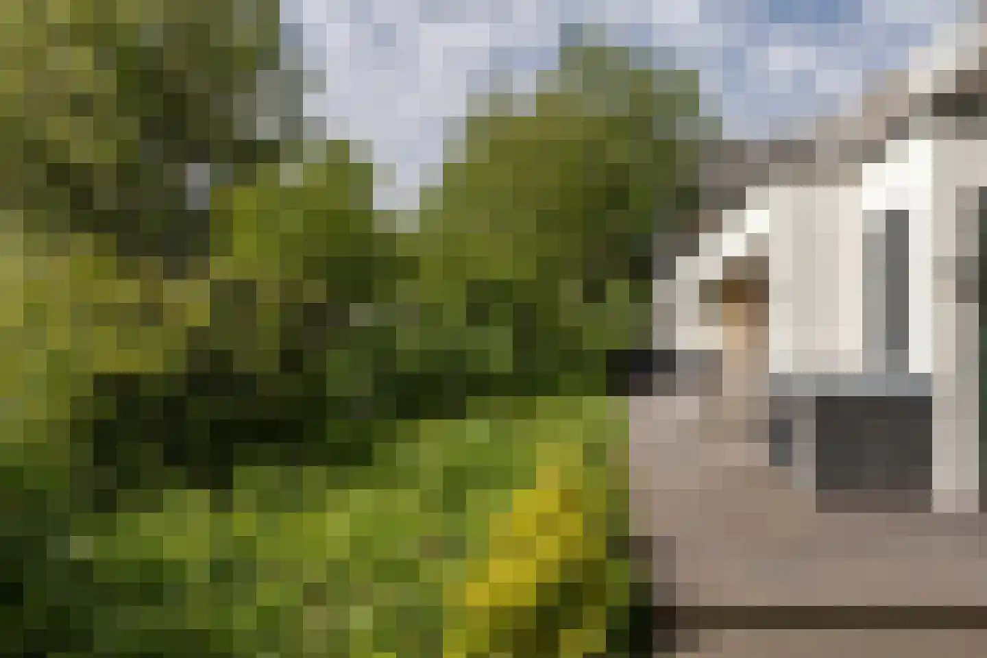 Van Bossepad 3 Amsterdam thumbnail 13