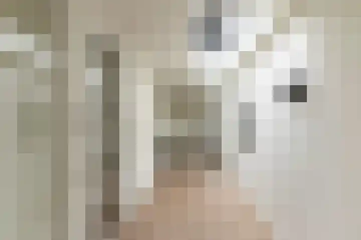 Van Bossepad 3 Amsterdam thumbnail 15