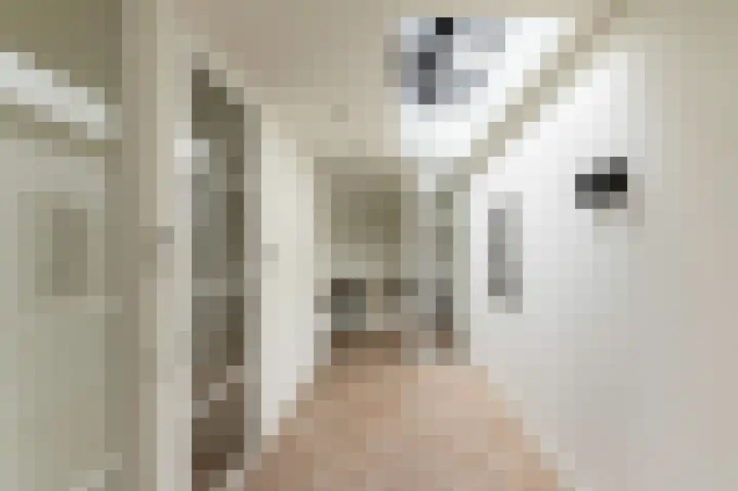 Van Bossepad 3 Amsterdam thumbnail 15