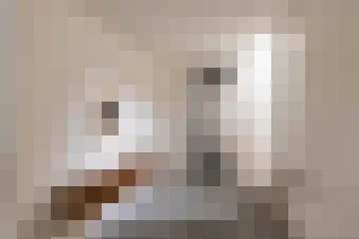 Van Bossepad 3 Amsterdam thumbnail 16