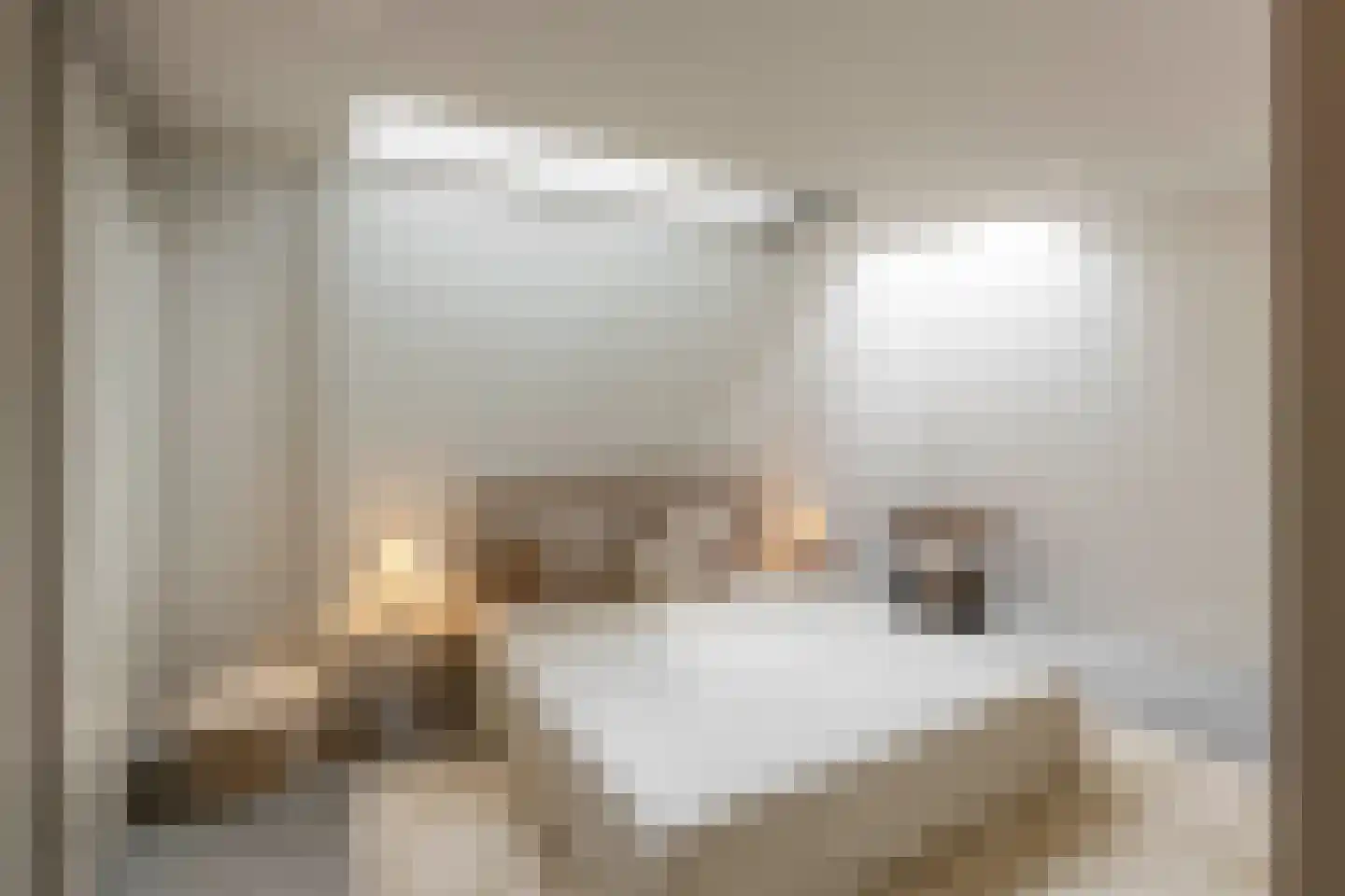 Van Bossepad 3 Amsterdam thumbnail 17