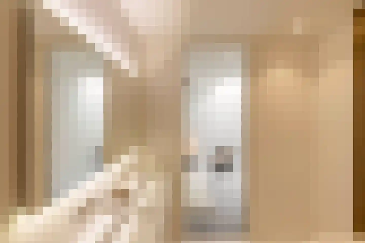 Van Bossepad 3 Amsterdam thumbnail 21
