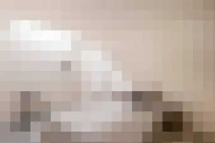 Van Bossepad 3 Amsterdam thumbnail 21
