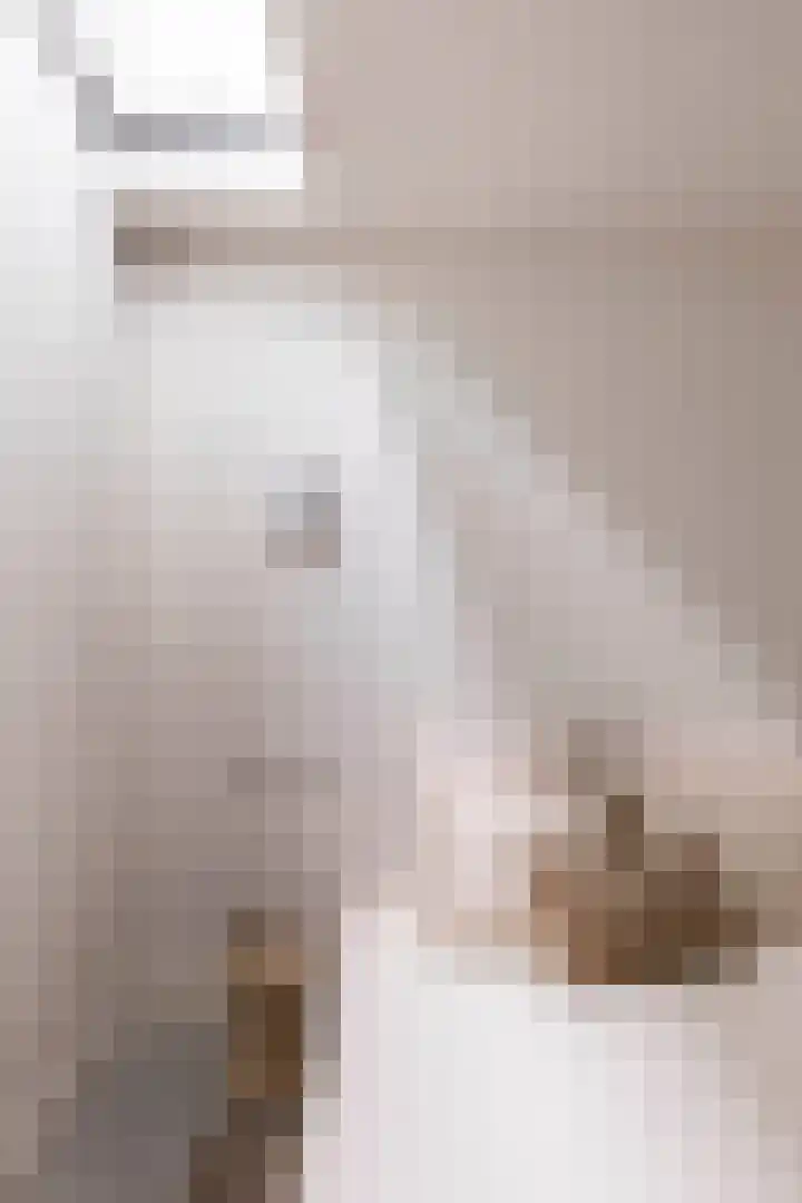 Van Bossepad 3 Amsterdam thumbnail 26