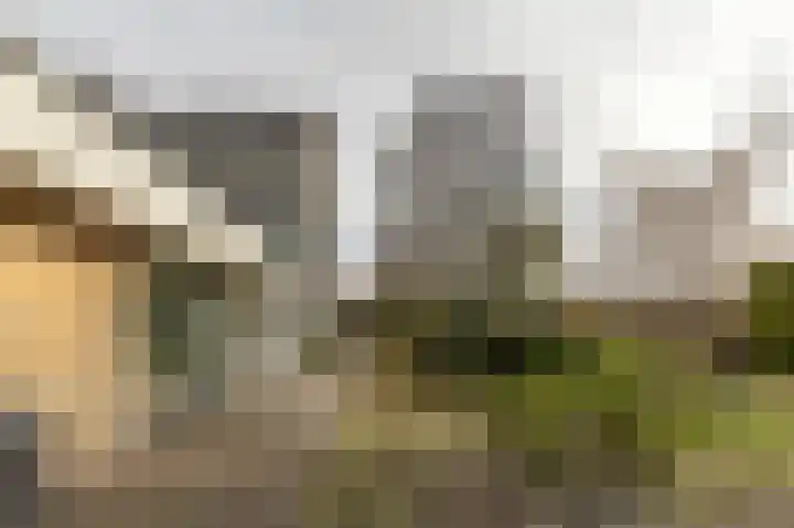Van Bossepad 3 Amsterdam thumbnail 30