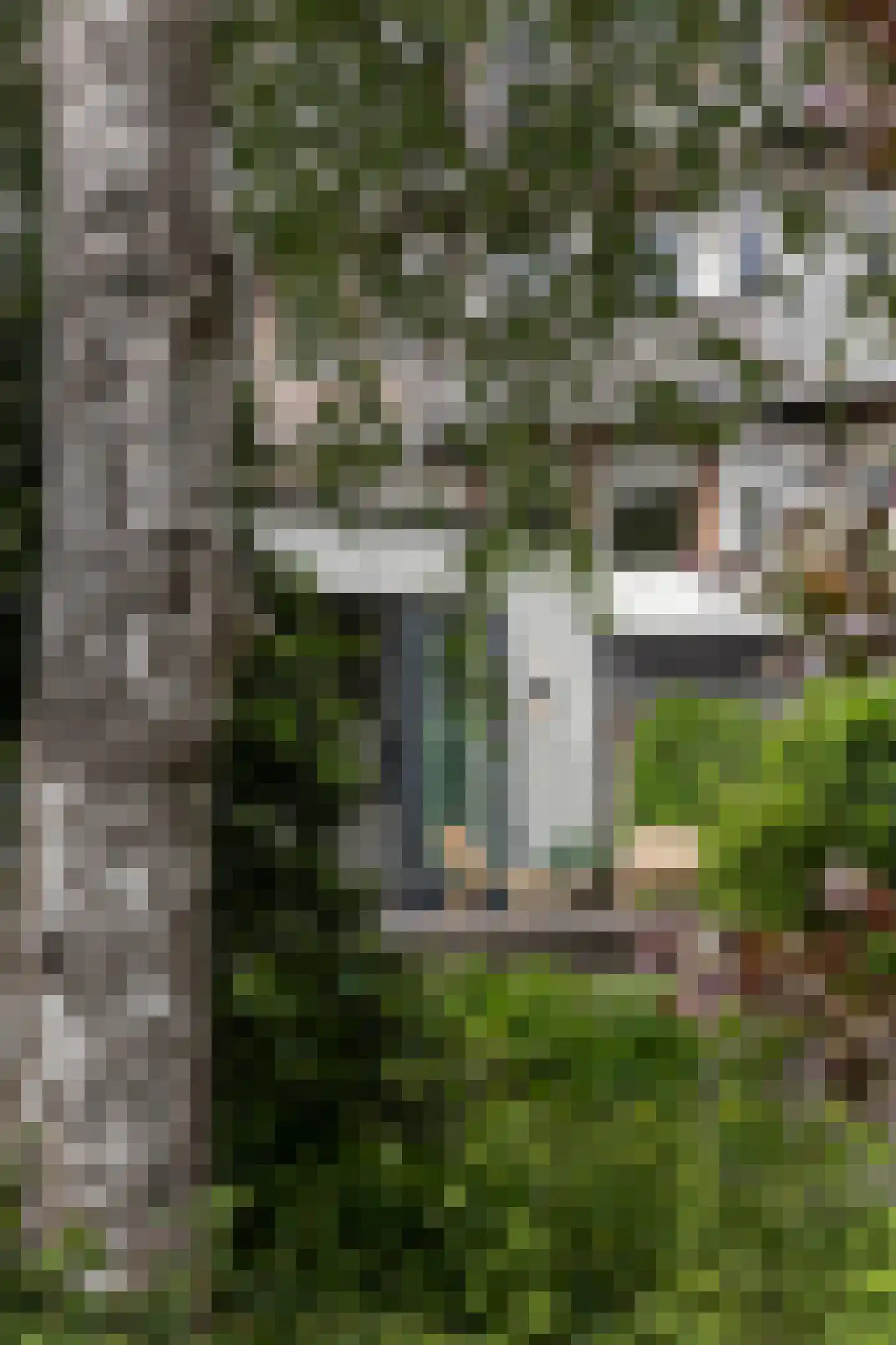 Van Bossepad 3 Amsterdam thumbnail 32