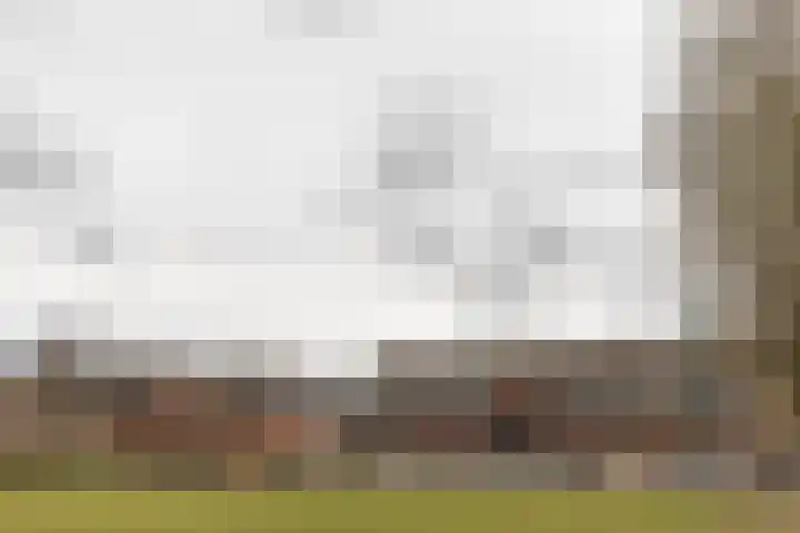 Van Bossepad 3 Amsterdam thumbnail 32