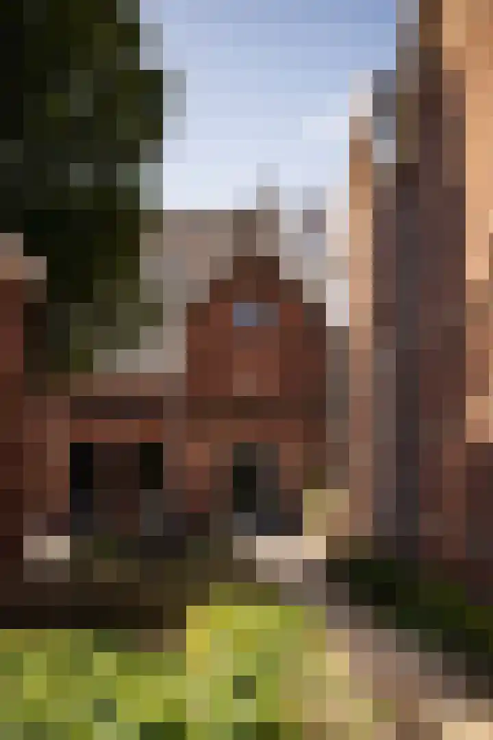 Van Bossepad 3 Amsterdam thumbnail 33