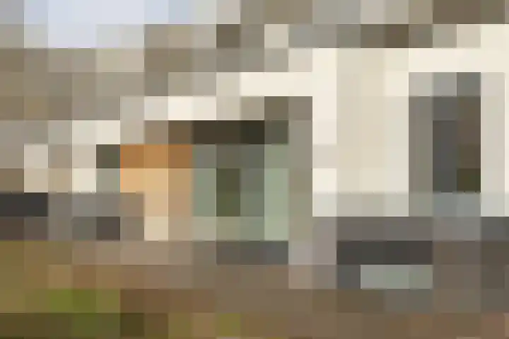 Van Bossepad 3 Amsterdam thumbnail 4