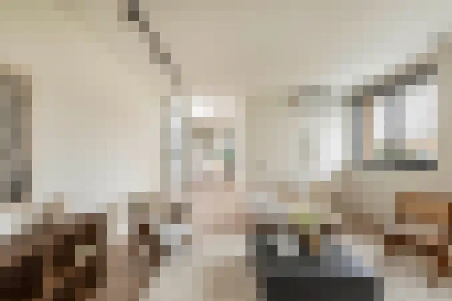 Van Bossepad 3 Amsterdam thumbnail 5