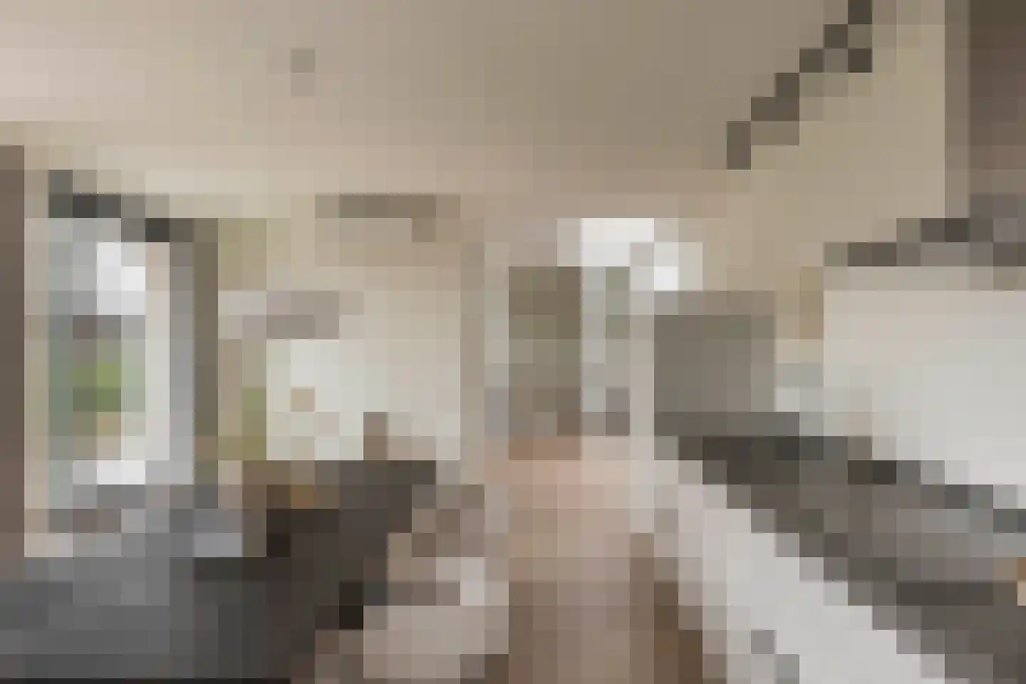 Van Bossepad 3 Amsterdam thumbnail 8