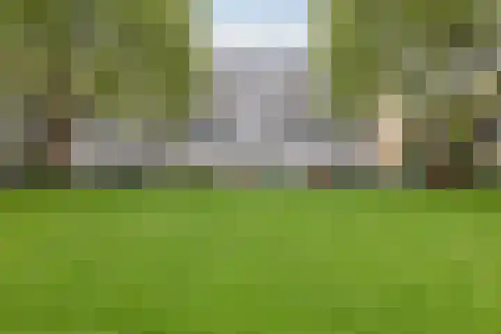 Van Bosseplantsoen 100 Dordrecht thumbnail 10
