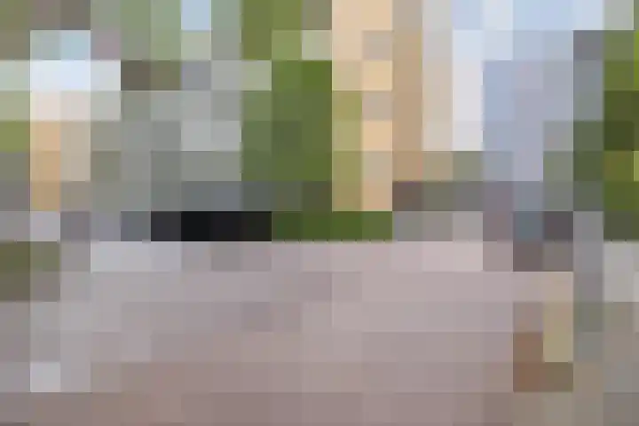 Van Bosseplantsoen 100 Dordrecht thumbnail 11