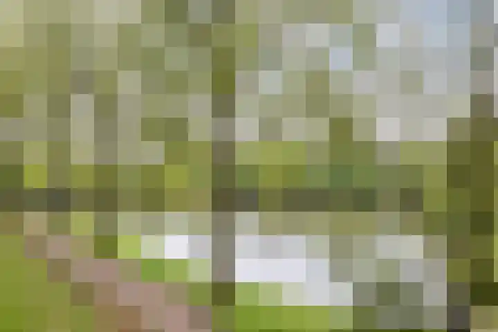 Van Bosseplantsoen 100 Dordrecht thumbnail 32
