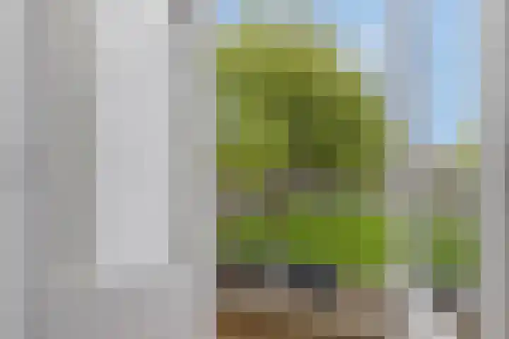 Van Bosseplantsoen 100 Dordrecht thumbnail 4