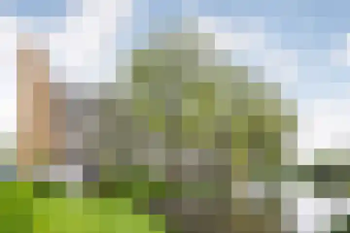 Van Bosseplantsoen 100 Dordrecht thumbnail 6
