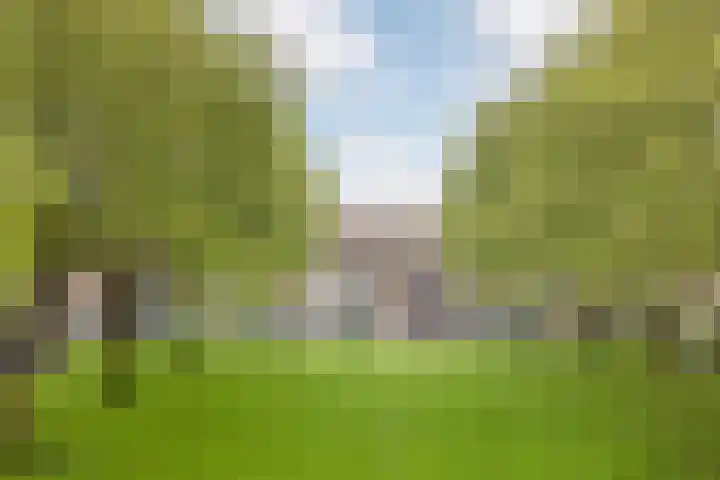 Van Bosseplantsoen 100 Dordrecht thumbnail 9