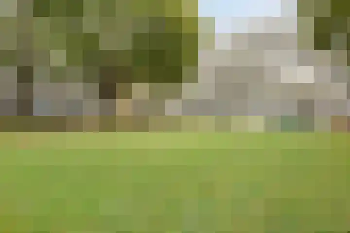 Van Bosseplantsoen 105 Dordrecht thumbnail 5