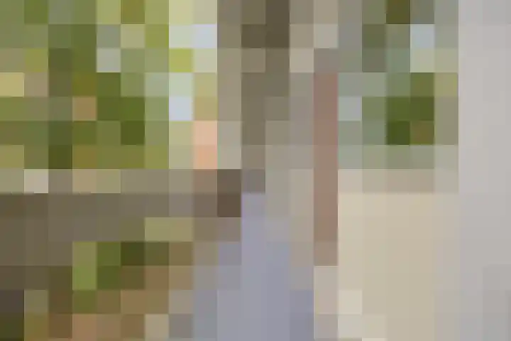 Van Bosseplantsoen 105 Dordrecht thumbnail 6