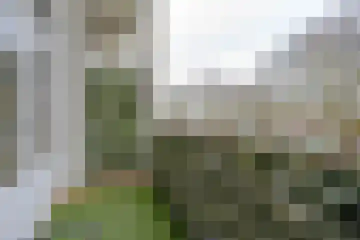 Van Bosseplantsoen 108 Dordrecht thumbnail 26