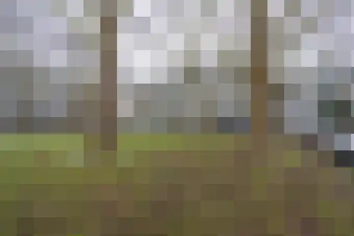 Van Bosseplantsoen 108 Dordrecht thumbnail 30