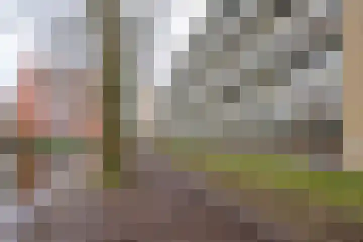 Van Bosseplantsoen 108 Dordrecht thumbnail 31