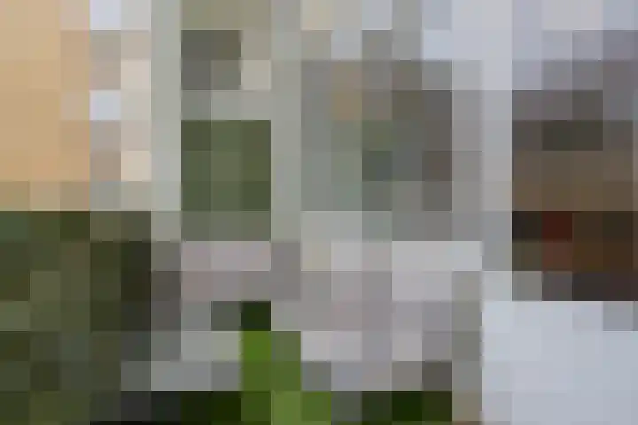 Van Bosseplantsoen 108 Dordrecht thumbnail 5
