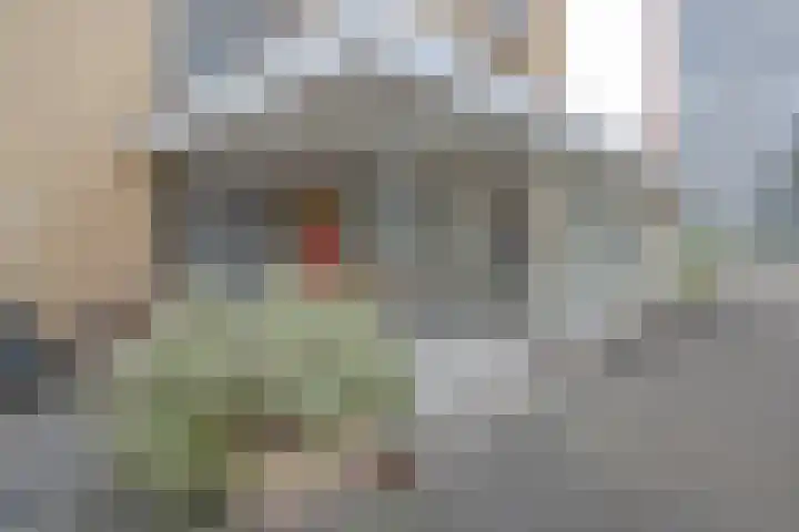 Van Bosseplantsoen 108 Dordrecht thumbnail 6
