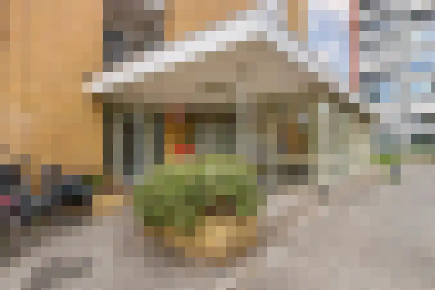 Van Bosseplantsoen 113 Dordrecht thumbnail 6