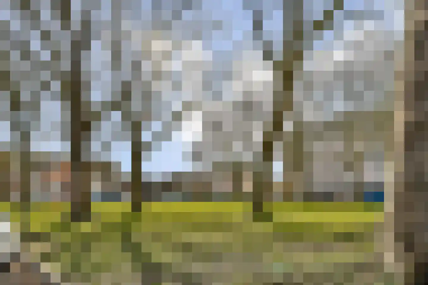 Van Bosseplantsoen 127 Dordrecht thumbnail 28