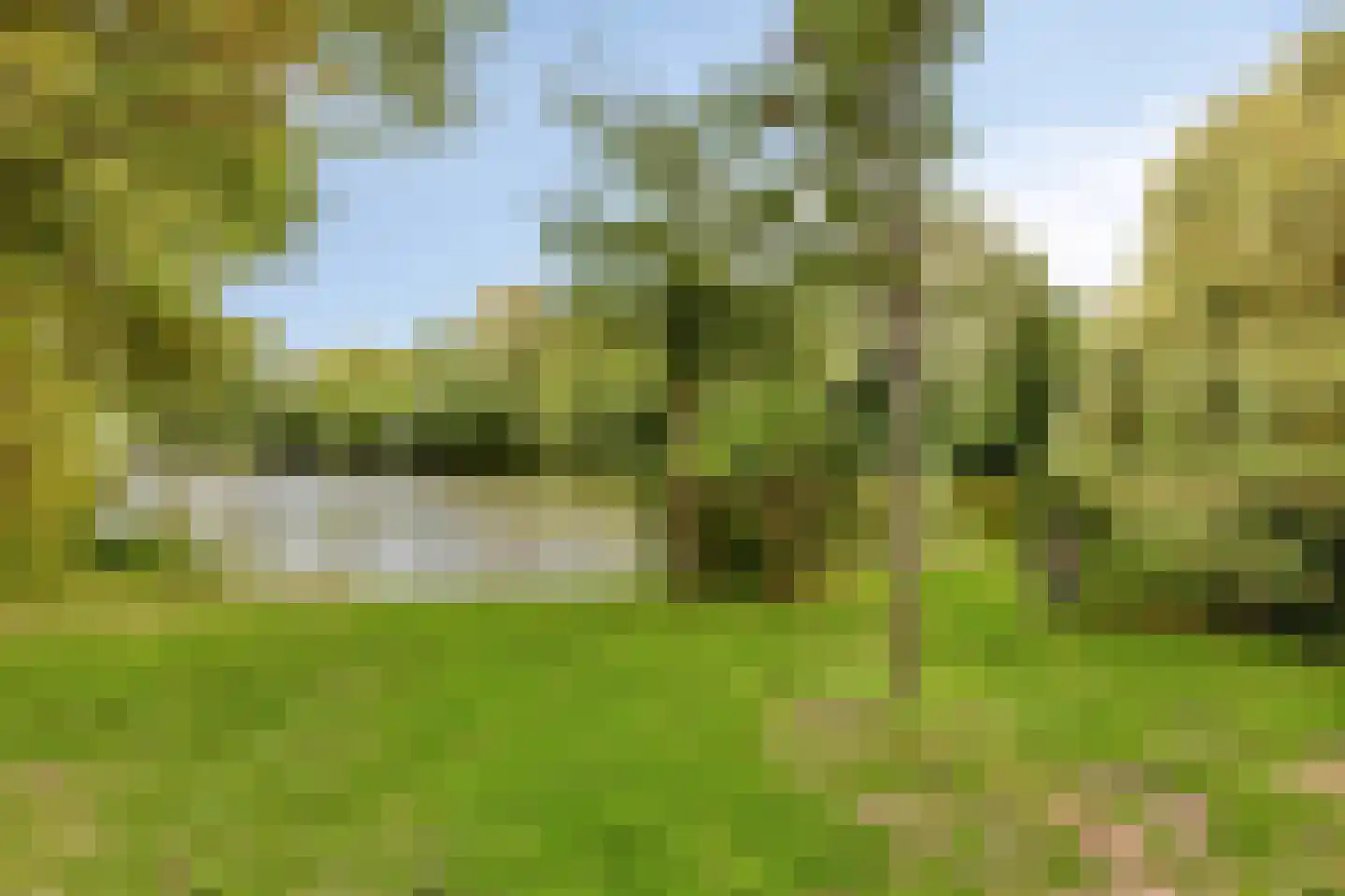 Van Bosseplantsoen 136 Dordrecht thumbnail 32