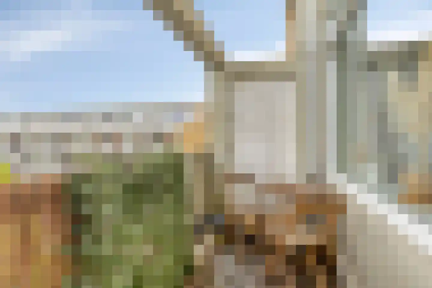 Van Bosseplantsoen 136 Dordrecht thumbnail 8