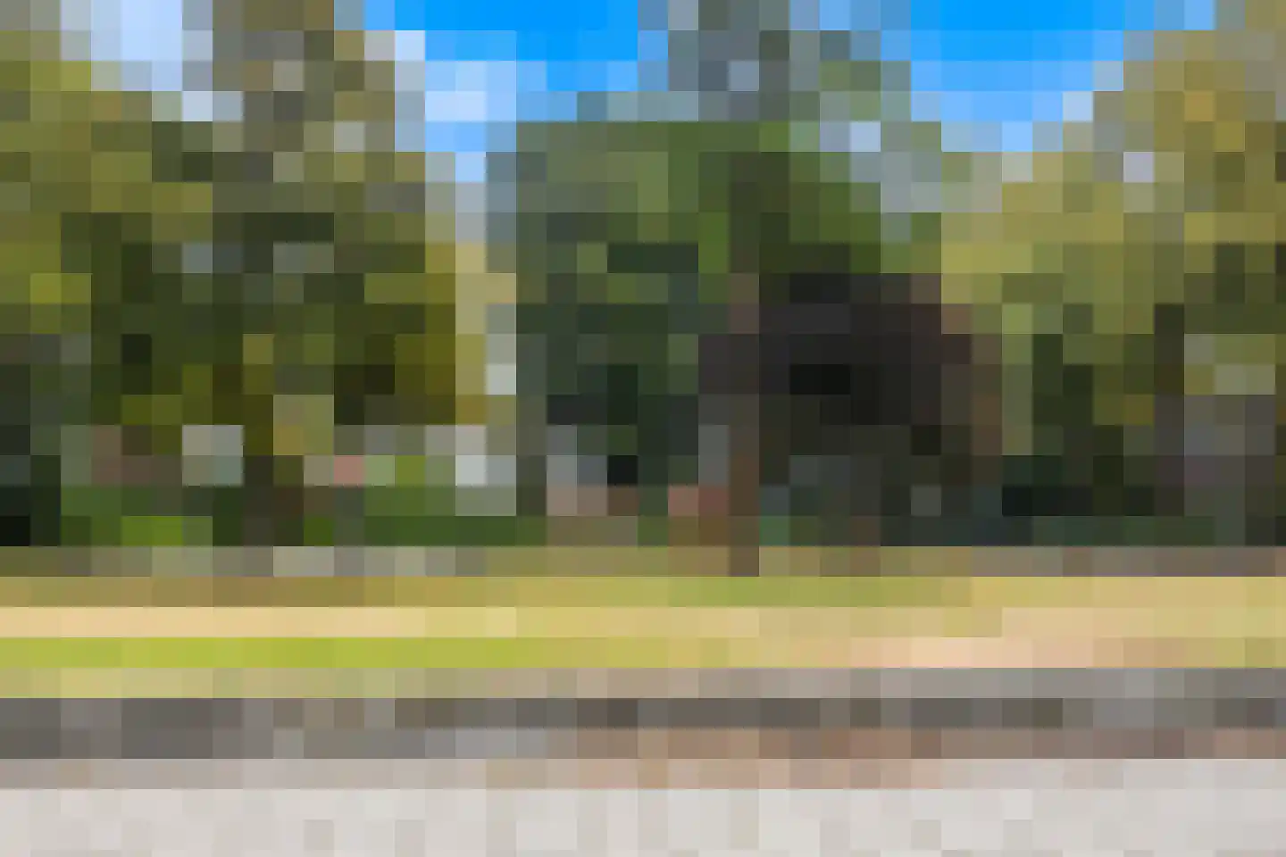 Van Bosseplantsoen 137 Dordrecht thumbnail 44