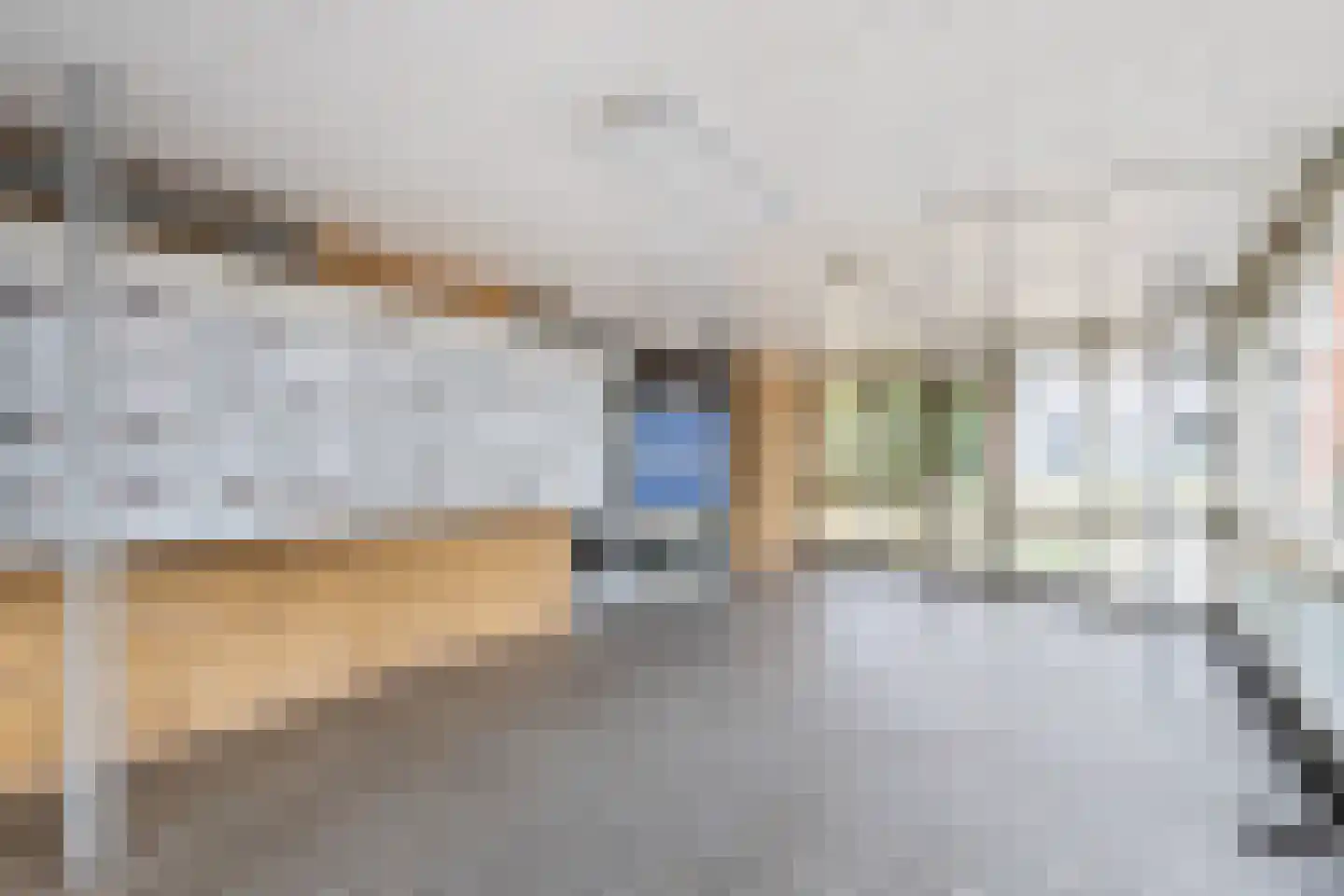 Van Bosseplantsoen 137 Dordrecht thumbnail 5