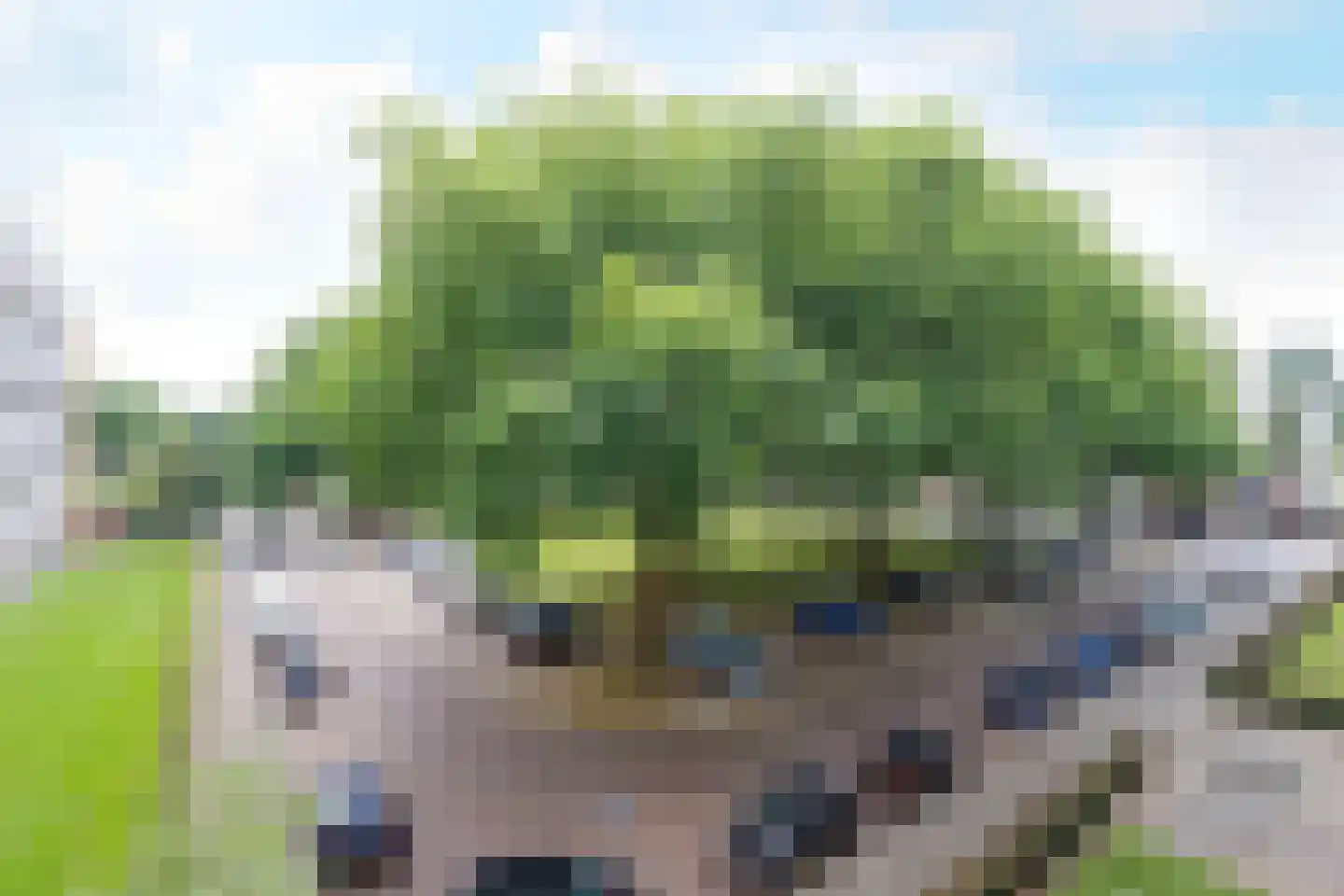 Van Bosseplantsoen 30 Dordrecht thumbnail 12