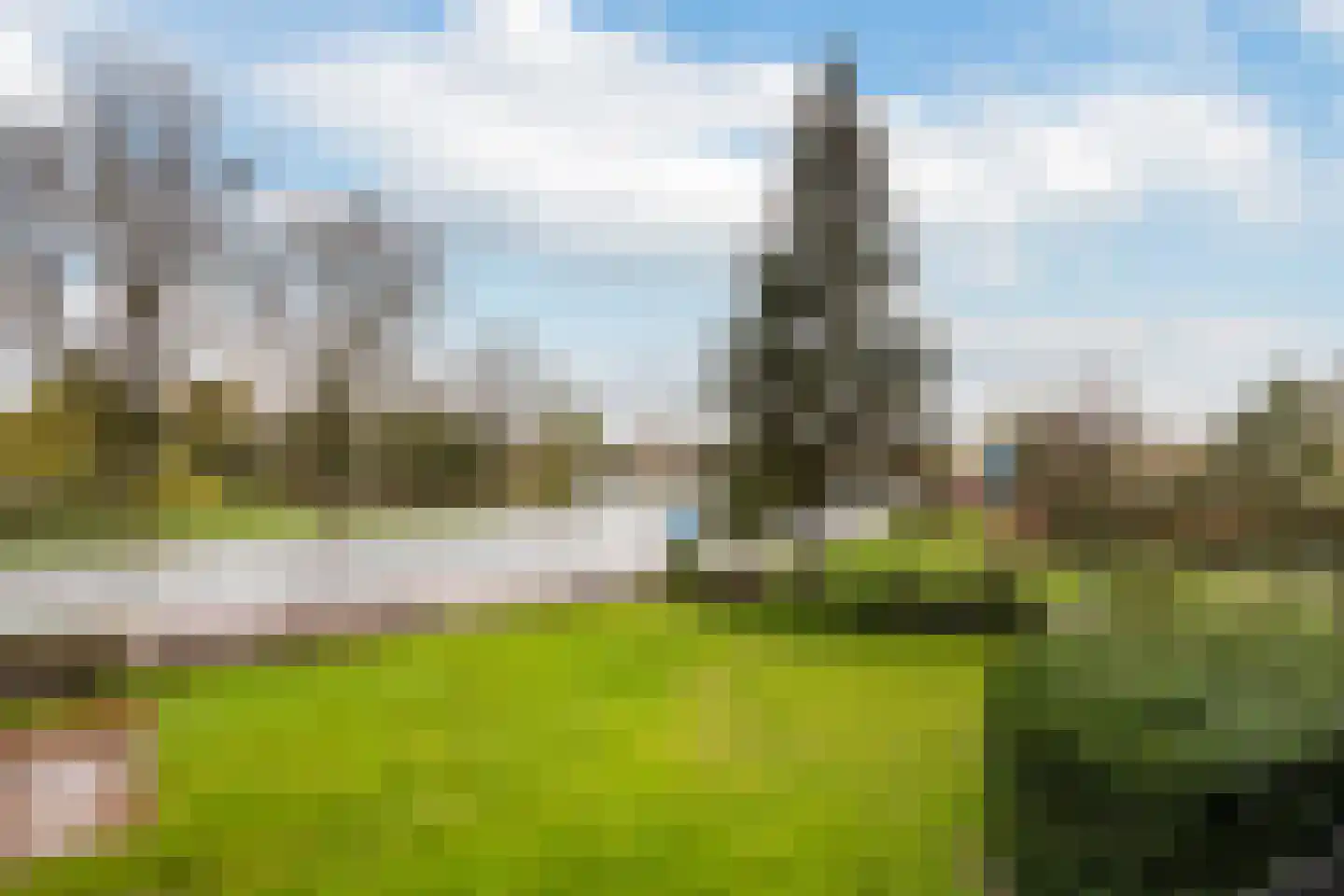 Van Bosseplantsoen 30 Dordrecht thumbnail 24