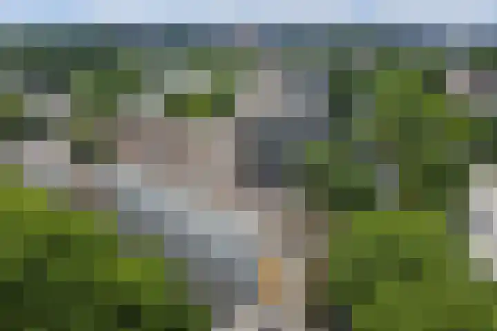 Van Bosseplantsoen 31 Dordrecht thumbnail 28