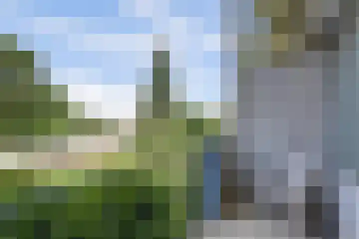 Van Bosseplantsoen 31 Dordrecht thumbnail 4