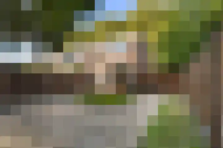 Van Bosseplantsoen 5 Dordrecht thumbnail 23