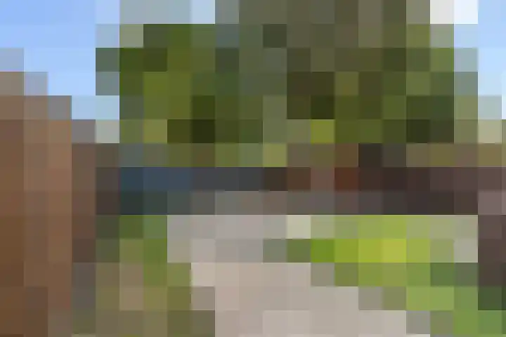 Van Bosseplantsoen 5 Dordrecht thumbnail 25