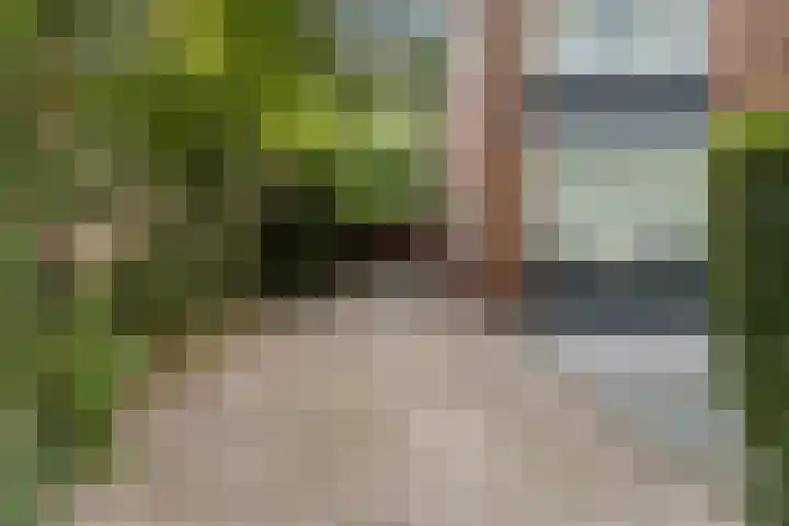 Van Bosseplantsoen 5 Dordrecht thumbnail 6