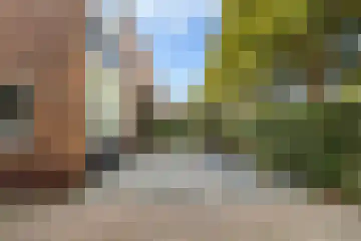 Van Bosseplantsoen 5 Dordrecht thumbnail 7