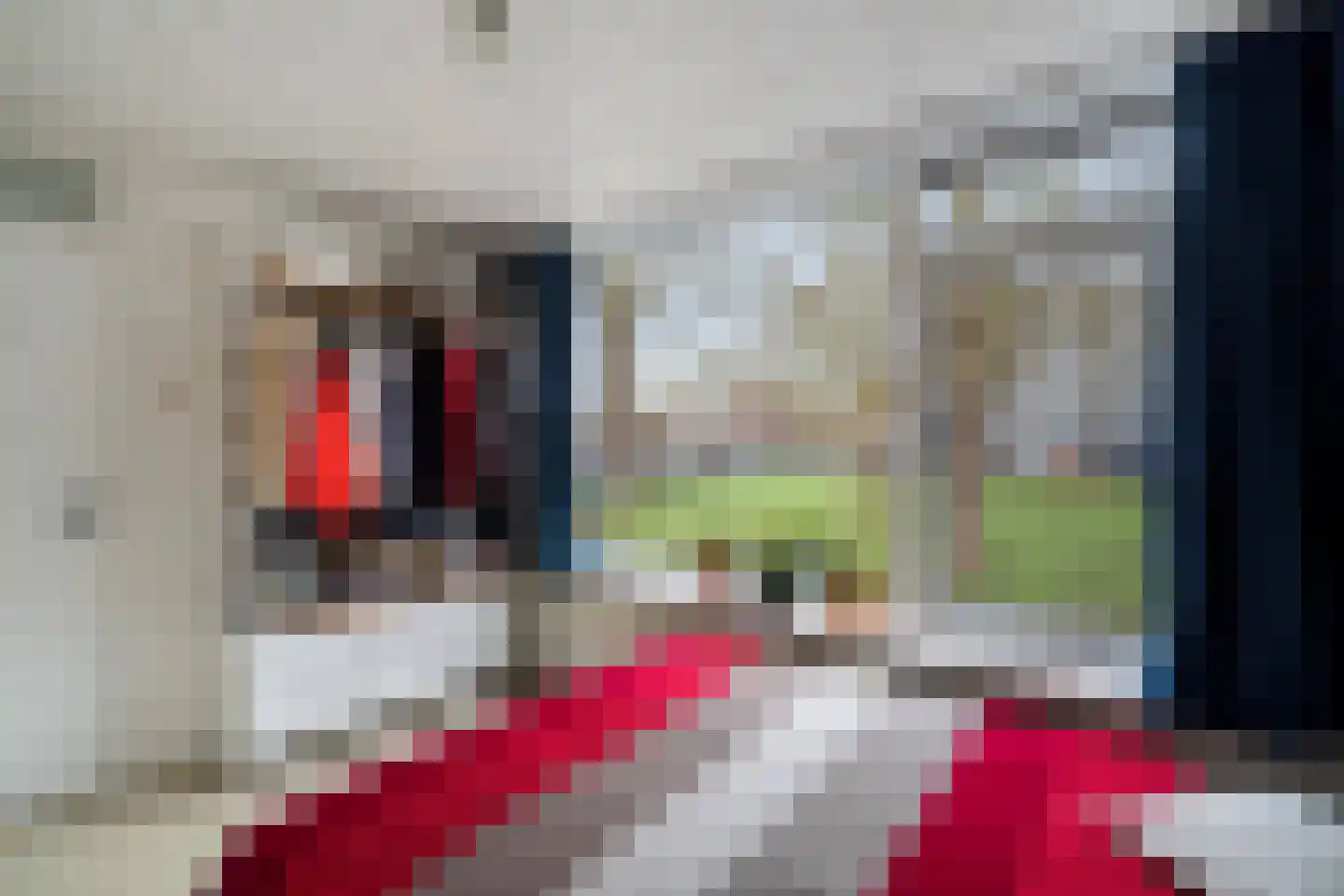 Van Bosseplantsoen 7 Dordrecht thumbnail 33