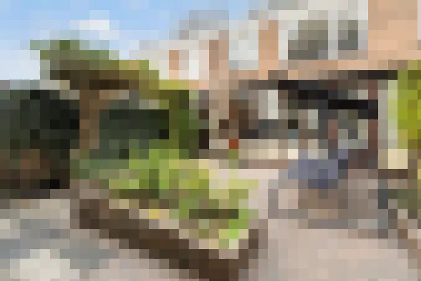 Van Bosseplantsoen 7 Dordrecht thumbnail 47