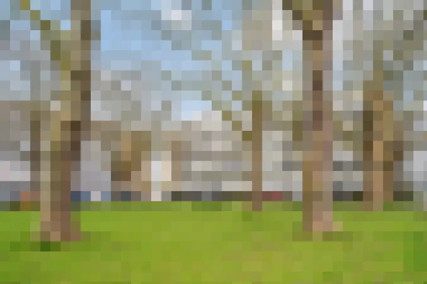 Van Bosseplantsoen 7 Dordrecht thumbnail 52