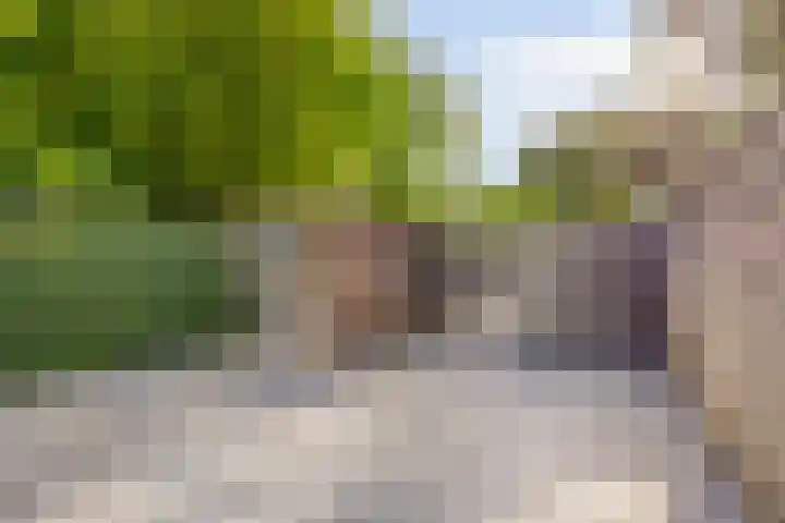 Van Bosseplantsoen 8 Dordrecht thumbnail 26