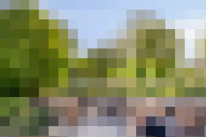 Van Bosseplantsoen 8 Dordrecht thumbnail 28