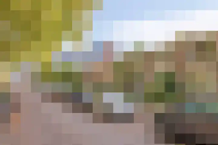 Van Bosseplantsoen 8 Dordrecht thumbnail 4