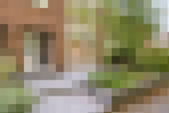 Van Bosseplantsoen 8 Dordrecht thumbnail 5